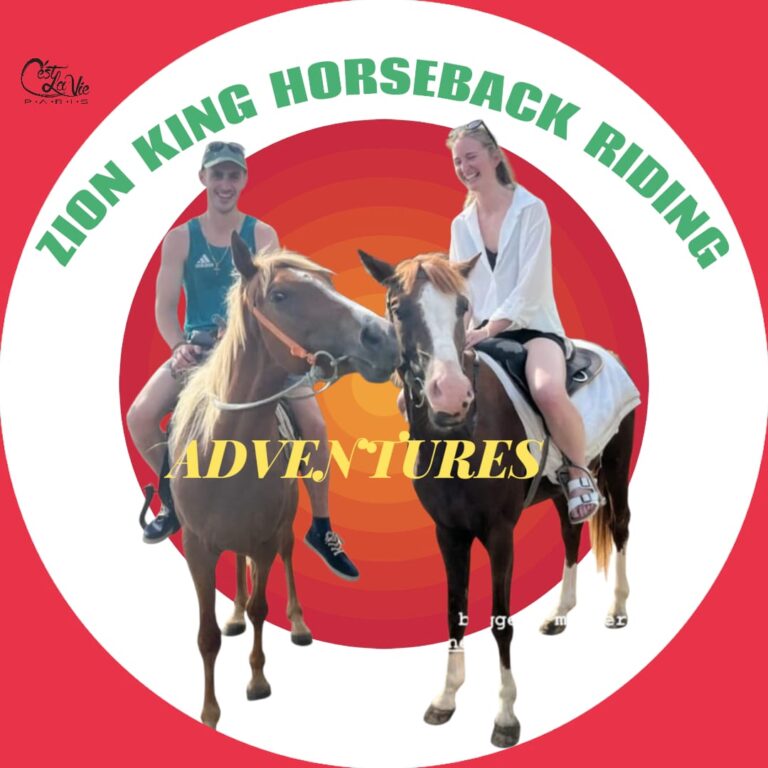Logo of Zion King Horseback Riding Adventures